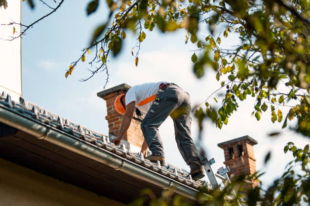 Roof Gutter Cleaning in Brentwood, NY